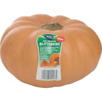 Fresh Vegetable Standard