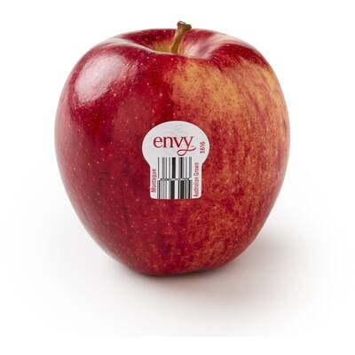 fresh fruit apples envy