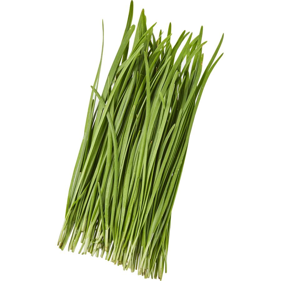 Fresh Vegetable Garlic Chives