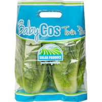 Pams Baby Cos Lettuce