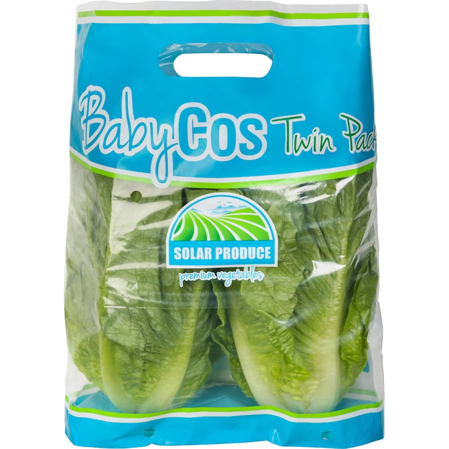 Fresh Vegetable Lettuce Green Baby Cos