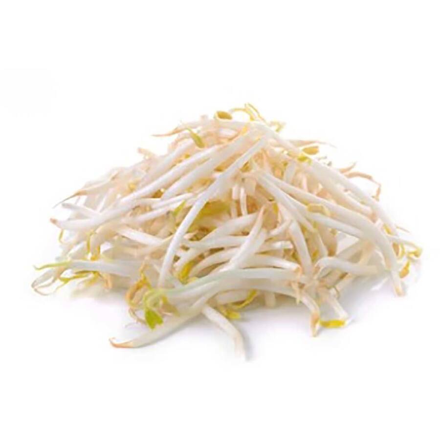 Fresh Vegetable Sprouts Mung Bean
