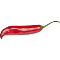 Fresh Vegetable Standard