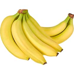 Fruit