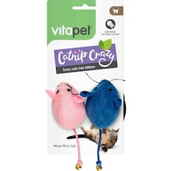 Cat Toys & Collars