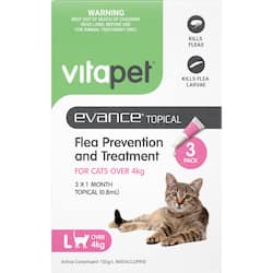 Cat Health & Grooming